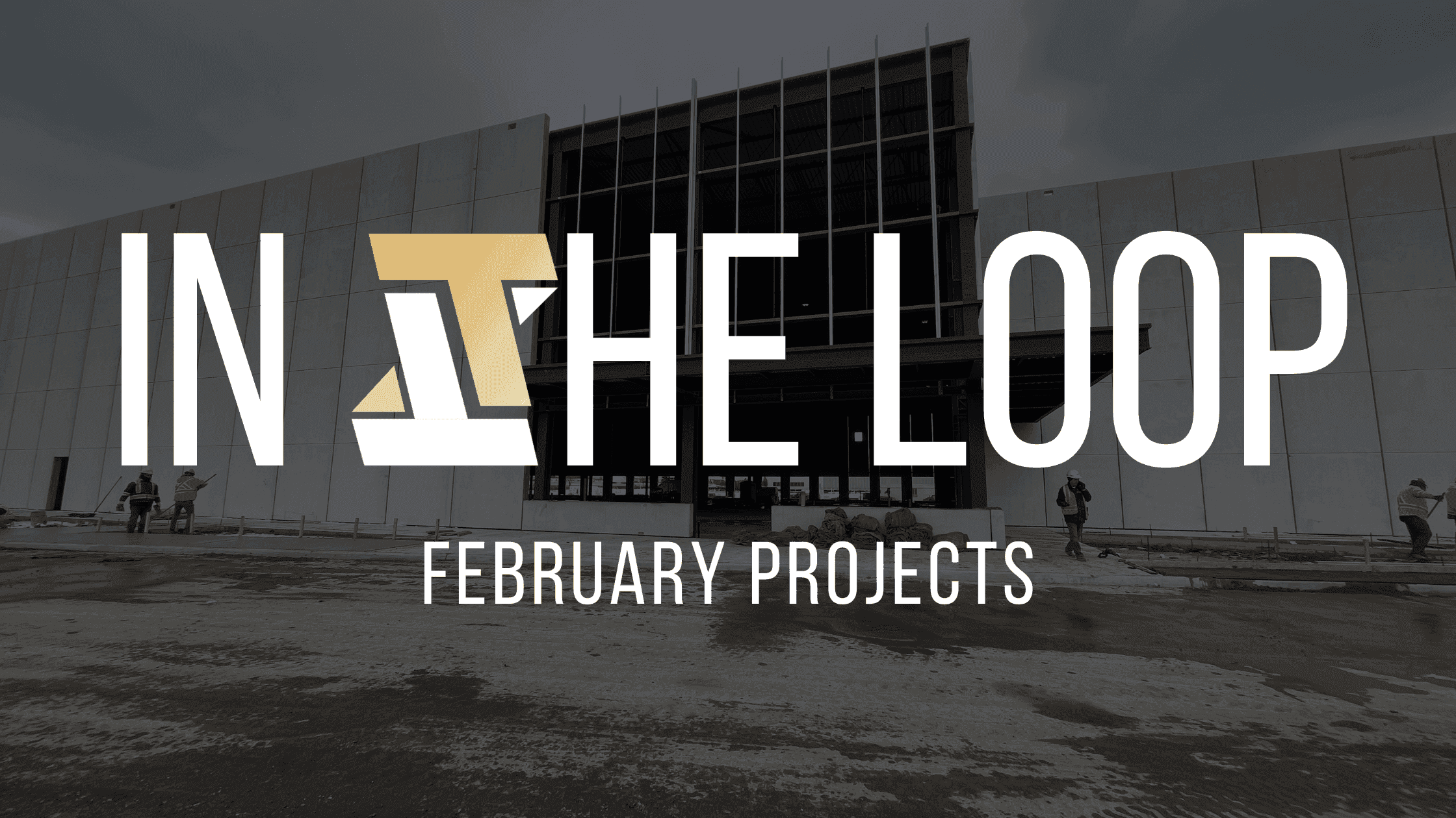 In The Loop - February Projects